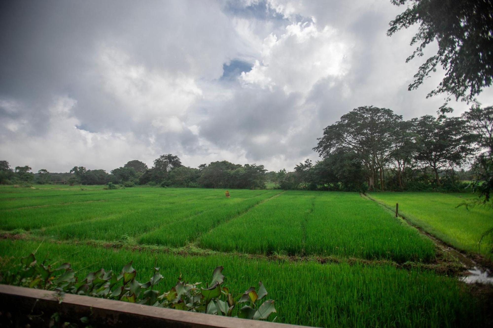 Kumbura Homestay Kibissa Exterior foto